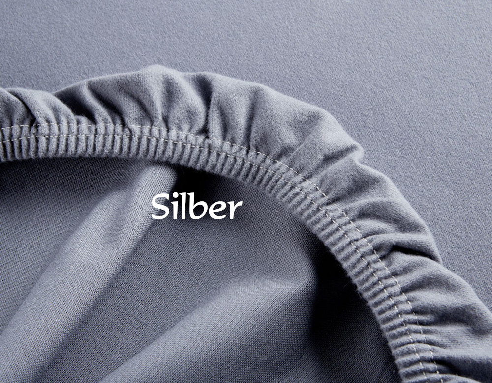 Biber_Silber